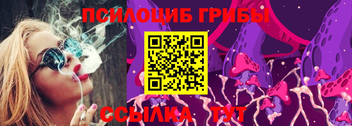 Псилоцибиновые грибы GOLDEN TEACHER Великий Новгород