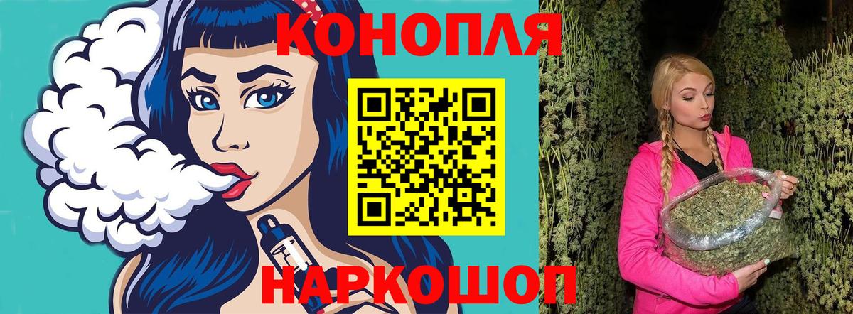 Бошки марихуана конопля Великий Новгород